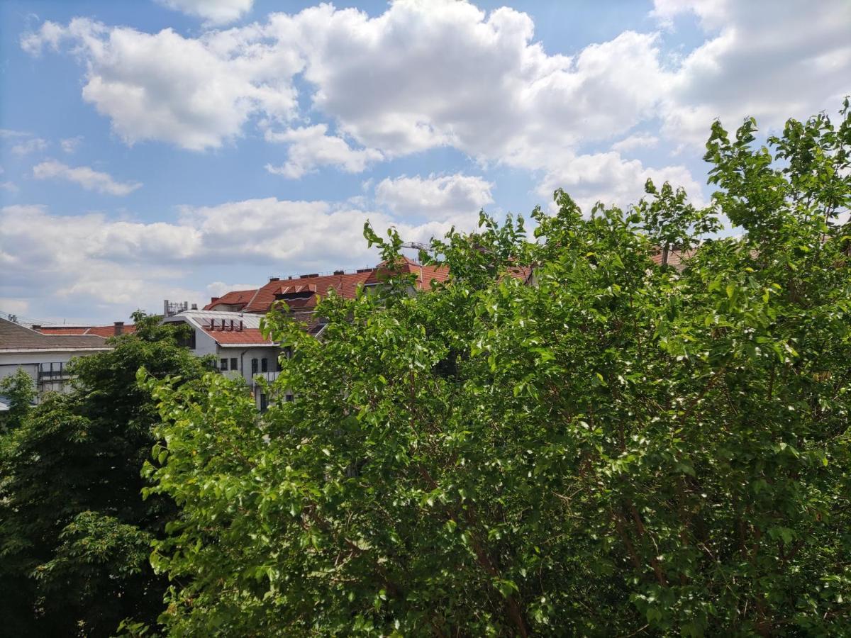 Park View, Close To River, Ac, Bauhaus Vibe, 2 Balconies Boedapest Buitenkant foto